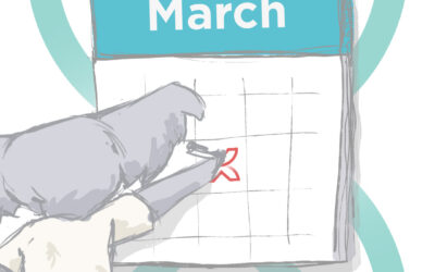 Koala Digital social media content calendar for March 2023