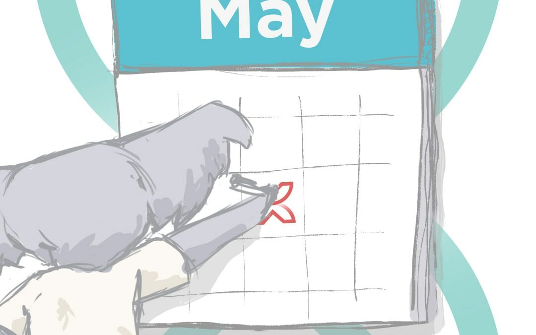 Koala Digital social media content calendar May 2023