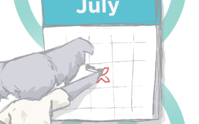 Koala Digital social media content calendar July 2023