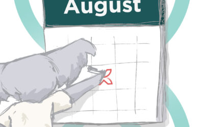 Koala Digital social media content calendar August 2023