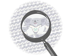 Search Engine Optimisation | SEO | Koala Digital