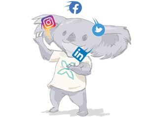Social Media Content Creation | Koala Digital