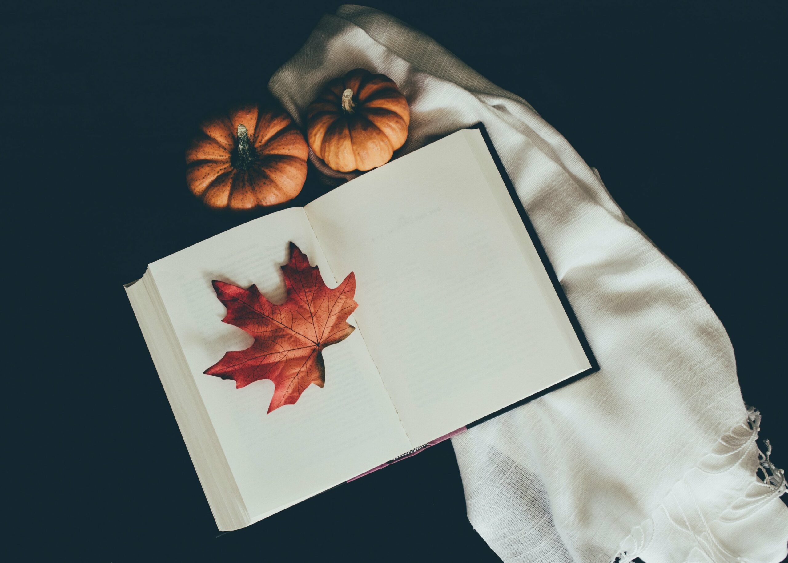 Picture of notebook with autumn leaves and pumpkins around it, read for planning a content calendar October 