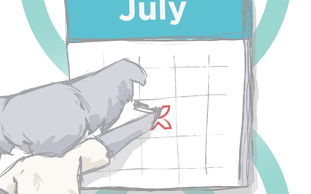 Koala Digital Social Media Content Calendar July 2024