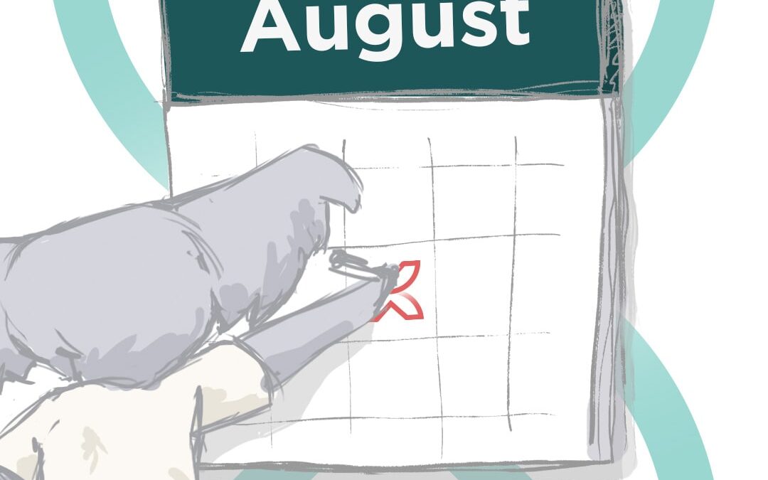 Koala Digital Social Media Content Calendar August 2024