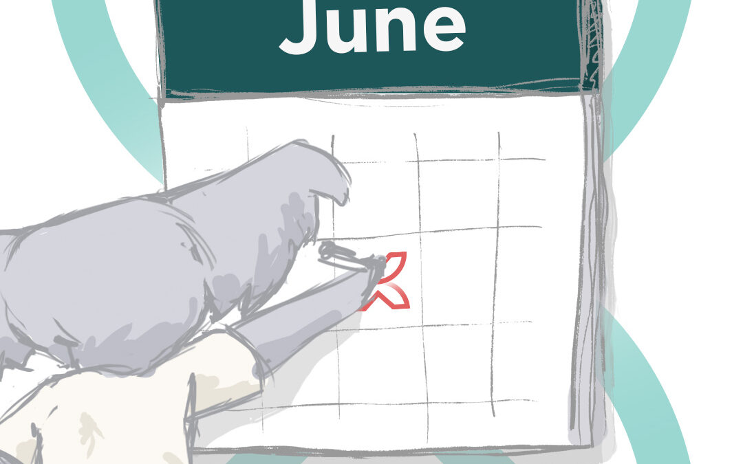 Social Media content calendar June 2025