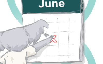 Social Media content calendar June 2025