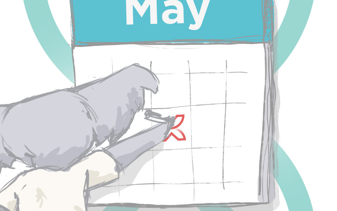 Social Media content calendar may 2025