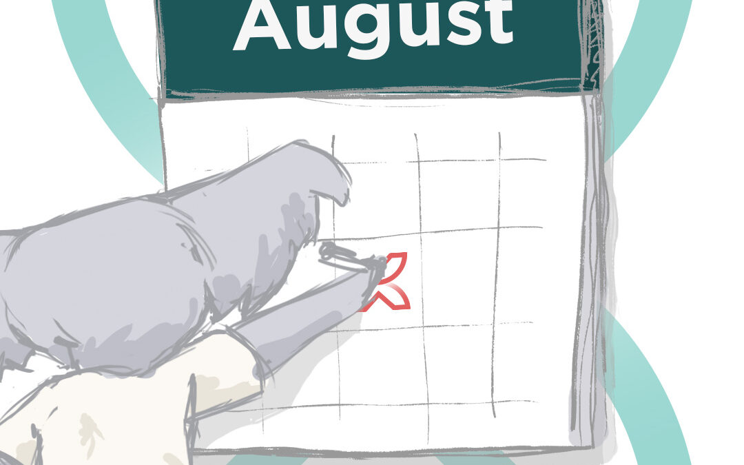Social Media Content Calendar August 2025
