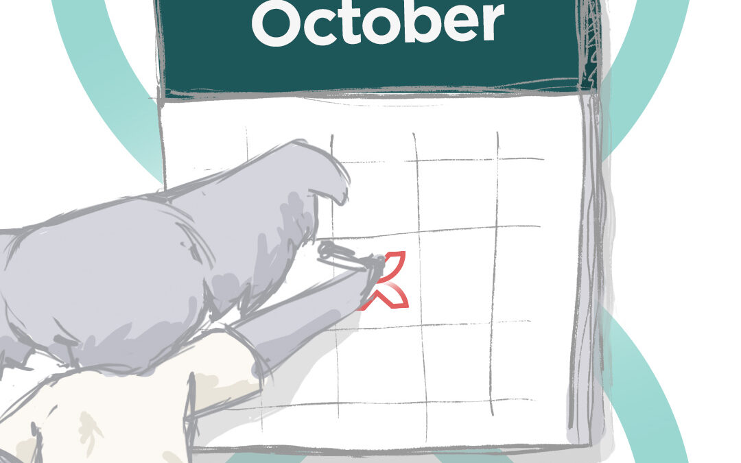 Social media content calendar October 2025
