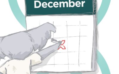 Social Media Content Calendar December 2025